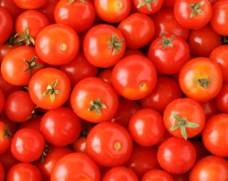 Tomato price-fixing class action lawsuit