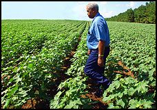 Farmer