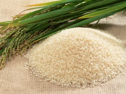 long grain rice