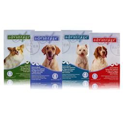 Advantage Flea & Tick Products Advantage Flea & Tick Products