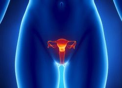 Transvaginal Mesh Lawsuit