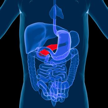 Januvia pancreas side effects Januvia pancreas side effects