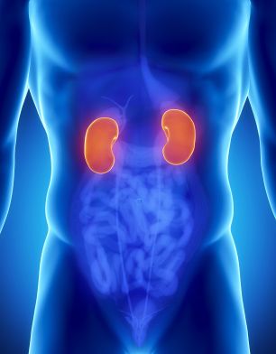kidney disease