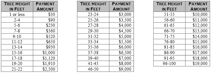 Tree Payment Chart Tree Payment Chart