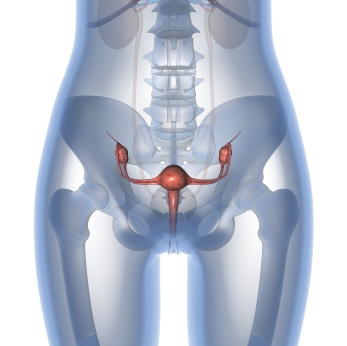 pelvic organ prolapse 