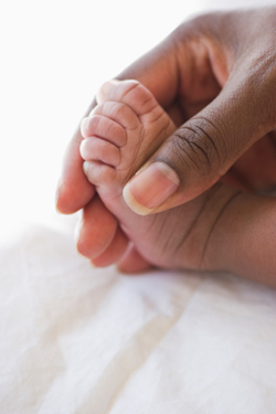 generic Zoloft birth defects
