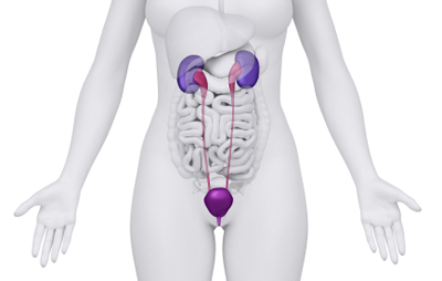 Transvaginal Mesh Lawsuit