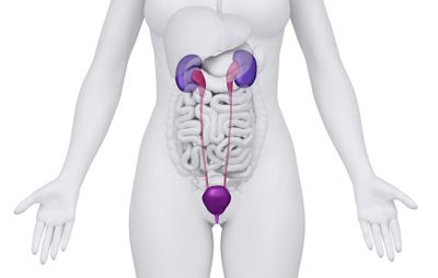 Transvaginal Mesh Lawsuit