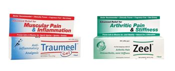 Heel Traumeel, Heel Zeel class action settlement