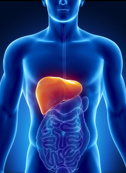 Tylenol liver damage risk factors