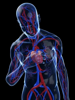 iStock-Zithromax-Heart-Attack