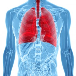 asbestos lung cancer