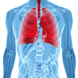 asbestos lung cancer