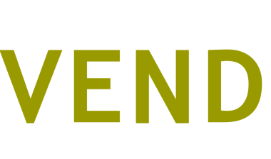 Vendini class action settlement