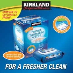 flushable wipes costco