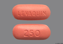 levaquin quinolone