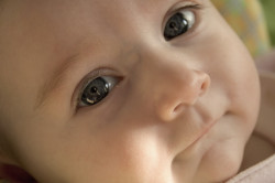 Retinopathy of prematurity baby eyes