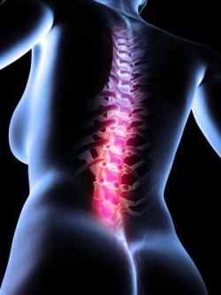 infuse-spine-illustration