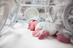 Newborn baby boy covered in vertix inside incubator