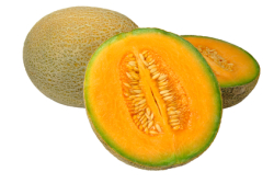 contaminated cantaloupe settlement