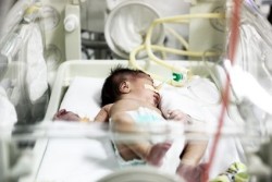 clomid-birth-defects