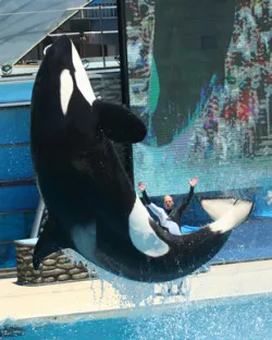 seaworld class action lawsuit