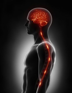 quinolone-nerve-pain