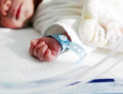 zofran-baby-nicu