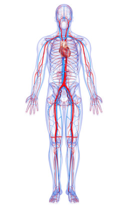 IVC filter pulmonary embolism