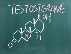 testosterone
