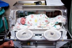 zithromax-birth-defects