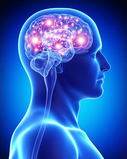 pseudotumor cerebri pseudotumor false brain tumor