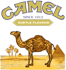 camel-cigarettes class action lawsuit