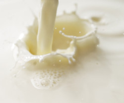 milk price-fixing settlement
