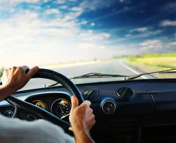 Driver's hands on steering wheel