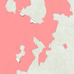 olympic-rescueit-lawsuit