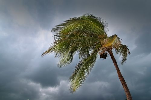 hurricane straps class action settlement