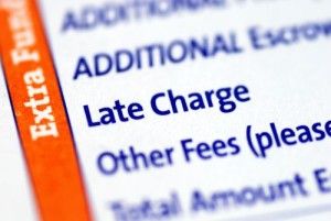 creditunion-fees-charged