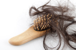 Hair loss caused by Taxotere is permanent