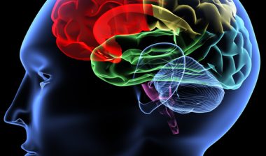 cerebellar-atrophy-brain