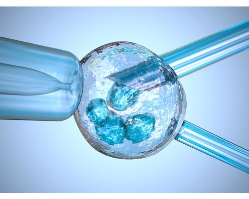 egg-donor