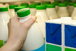 milk