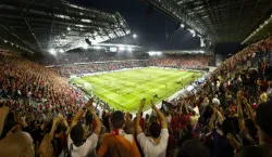 soccer fans in stadium
