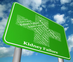Zithromax Kidney Failure