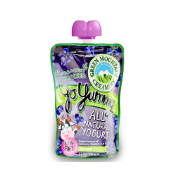 yo-yummy yogurt all natural class action
