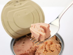 Canned Tuna Price Fixing