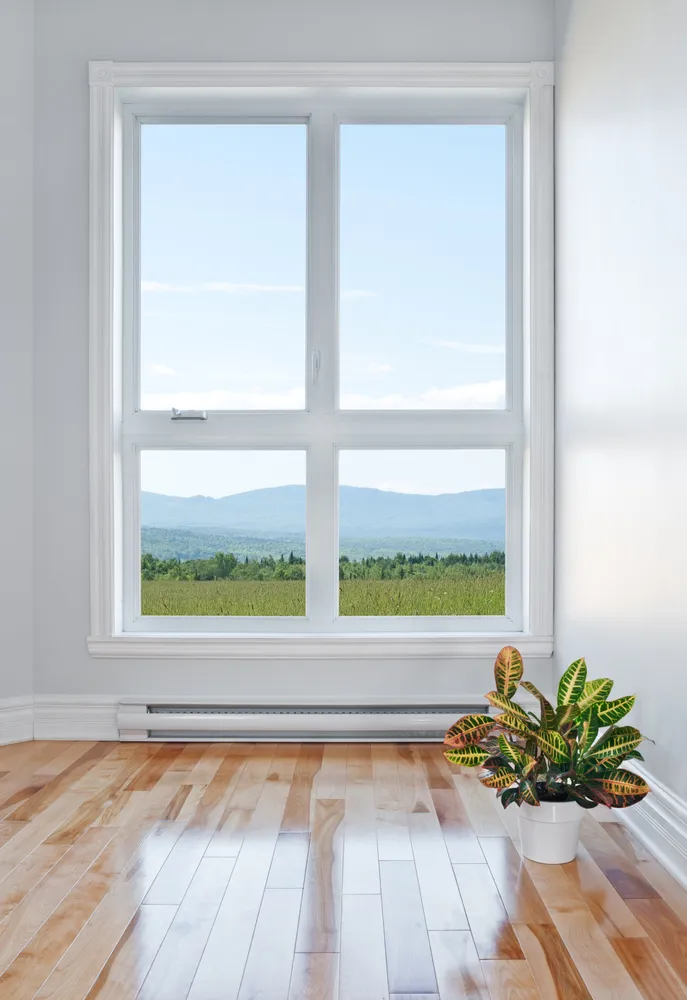 windows class action lawsuit