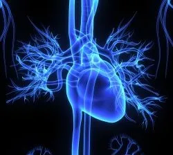 IVC blood clot filter