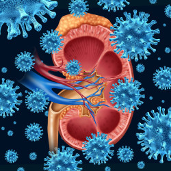 Heartburn Drugs