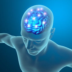 Causes-Cerebellar-Atrophy